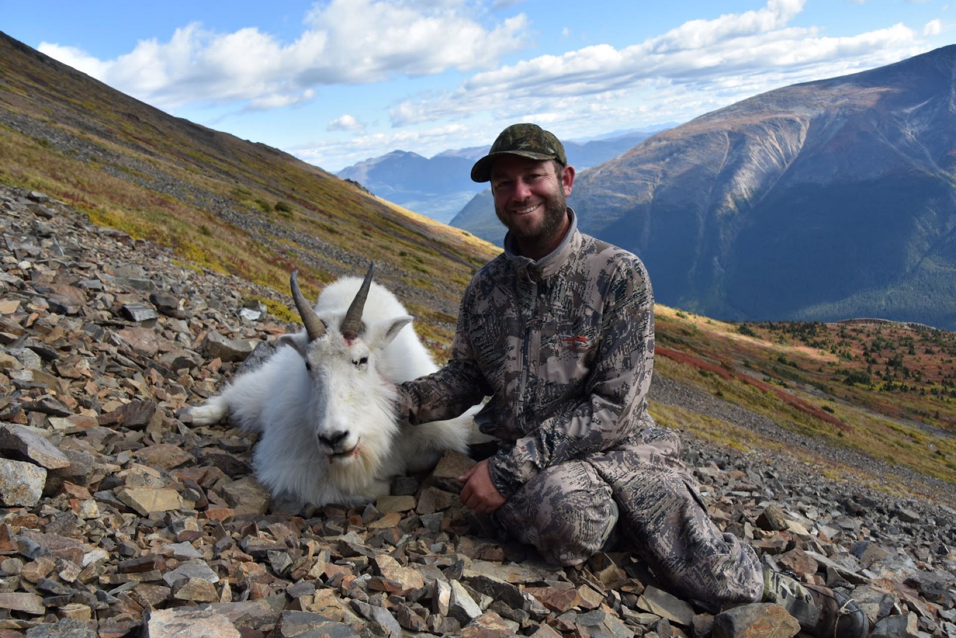 Mountain goat British Columbia